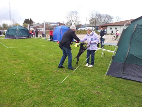 Carlos_takker_Ringsekretæren