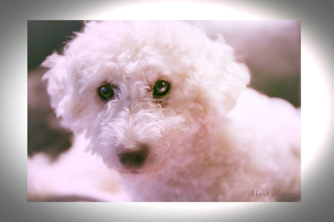 2FC6D9E8-3F31-4B1D-BB55-F701B885D735